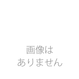 NTT αNXⅡ 18TEL用 メーカー純正示名条片 10枚